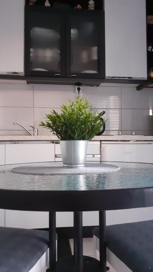 Apartment Viki Lozovac Ngoại thất bức ảnh